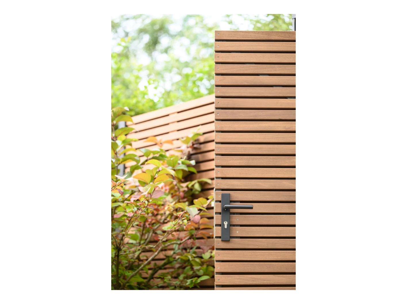 Thermowood Ayous Poortdeur Rhombus Horizontaal 100 x 180 cm - Afbeelding 2